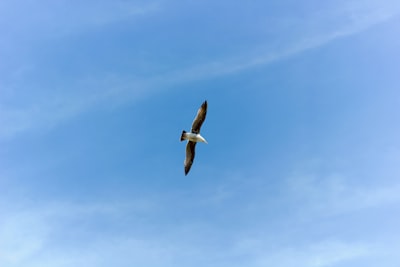 نتائجالدوريالإنجليزياليوممباشرتحديثاتحيةومباشرةمنالملاعب